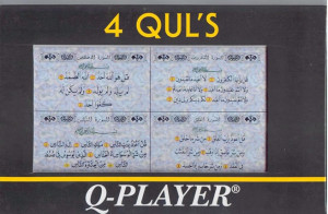 You need to enable Javascript.