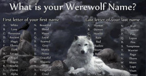 Comment your werewolf name, I'm sure your name will fit you!