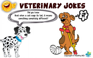 Veterinary Medicine Jokes
