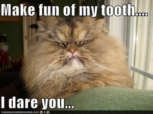 Snaggle photo funny-pictures-make-fun-of-my-tooth-i-dare-you.jpg