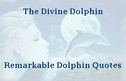 ... Great Blue Marble has dolphin images, dolphin animation, and dolphin