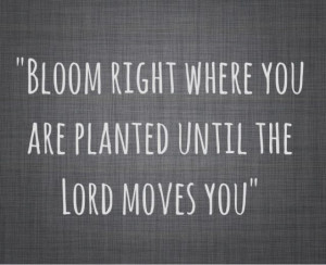 Found on apromisetoconceive.blogspot.com