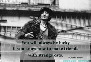 ... Quotes by Lincoln The 29 Great Family Reunion Quotes 24 Great Cat