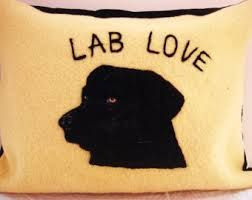 Lab Love