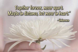 Together forever, never apart. May be in distance, but never in heart.