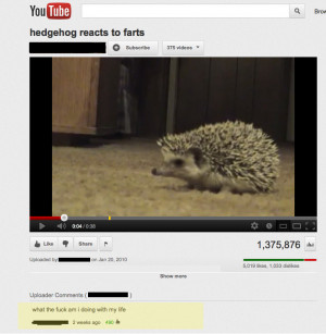 youtube lol humor funny pictures funny pics funny comments