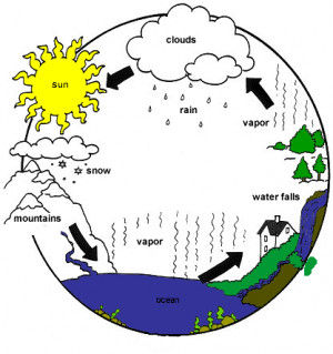 Image Search Diagram The Water Cycle