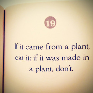 If it came from a plant - Michael Pollan quote.