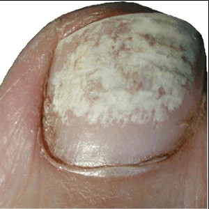 Funny Quotes Contact Dmca