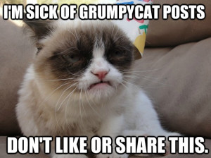 ... Pictures grumpy cat funny cats facebook pictures quotes people and