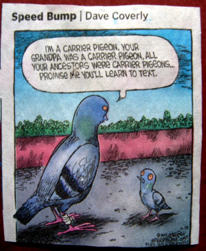 chuckled when I read this 