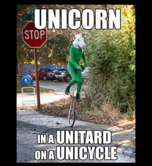 Unicorn Man On A Unicycle Journey
