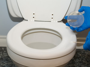 clean toilet seat 8 10 from 37 votes clean toilet seat 1 10 from 40 ...