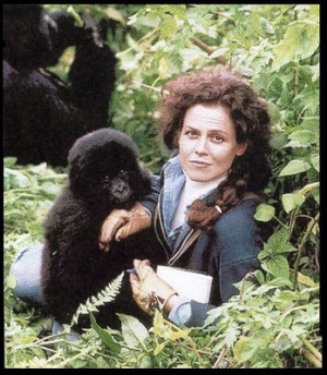 dian fossey and digit