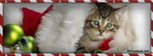 Christmas Animals, Pets, Cats, Dogs Facebook Covers | Facebook Cover