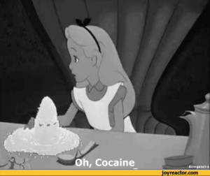 Related Pictures the cocaine is speaking dogs r funny