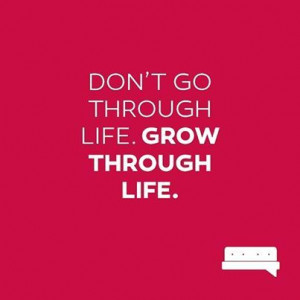 Don't go through the motions on auto-pilot, learn and grow from every ...