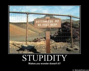 Stupidity Takes Another Level