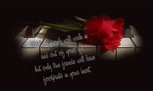 Roses Quotes graphics