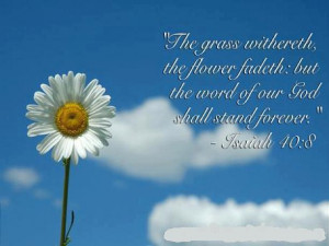 : Bible Verse Wallpaper , Christian Bible Quotes , Christian Bible ...