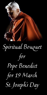 Request for Prayers: Spiritual Bouquet for our dear Holy Father