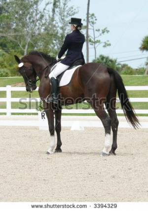 Can Equestrian Quotes Teach You Dressage