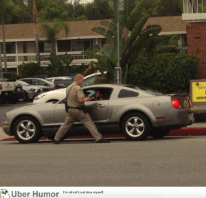 Go Back > Gallery For > Funny Mustang Quotes