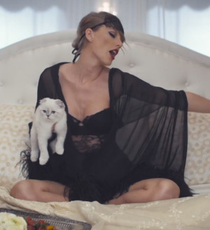 Taylor Swift Changes 20 Times (AKA Every 12 Seconds!) in Her New Video ...