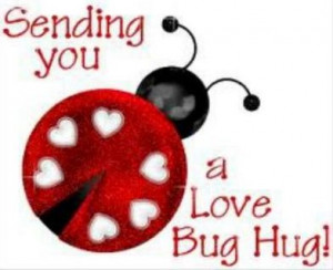 Love bug hug quote via Carol's Country Sunshine on Facebook