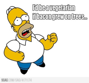 Homer Simpson Funny Quotes