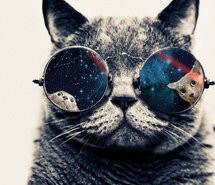 awesome-cat-galaxy-glass-glasses-374568.jpg