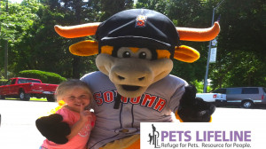 Rawhide, the Stompers 