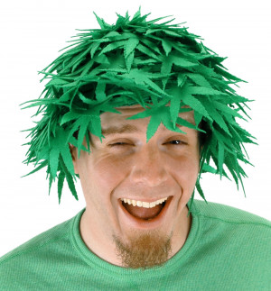 Funny wigs, wigs for fun, colorful funny wigs, wigs