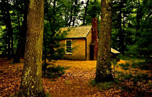 Resources for teaching Thoreau's Essay 