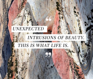 Unexpected Intrusions of Beauty Quote | Nutrition Stripped