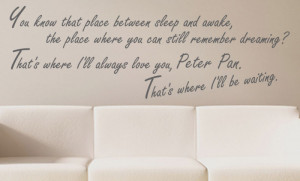 WALL QUOTE DECAL ART Love Tinkerbell Peter Pan Custom