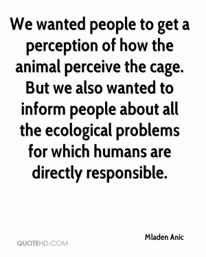 ... Wanted People To Get A Perception Of How The Animal Perceive The Cage