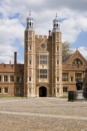 You Need Help Finding The...