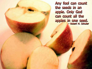 ... the seeds in an apple. Only God can count all the apples in one seed