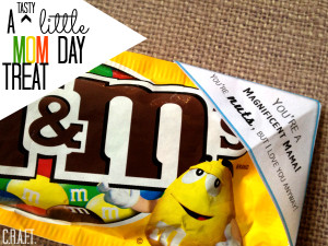 You’re a Magnificent Mama {and you’re nuts}: Mothers day treat