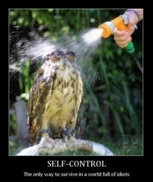 demot+9 Weekly Stress Relief Funny Quotes, 28 January 2013