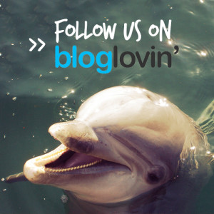 Volunteer photo of the week: Kerri Dobson | Main | Ten strange facts ...