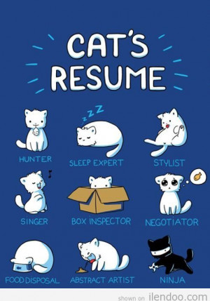 2012-funny-cute-comic-cartoon-illustration-cats-resume-ilendoo.com ...