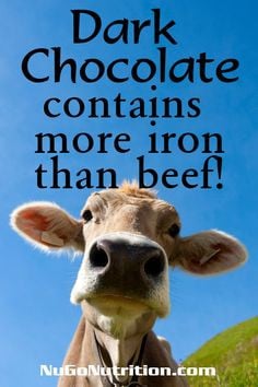 10 Dark Chocolate Facts to Share. Any excuse for chocolate is a good ...