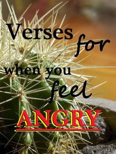 Feeling a little prickly? :) Here are a few reminders from God's word ...