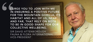 Sir David Attenborough is Crowdfunding to Save Mountain Gorillas