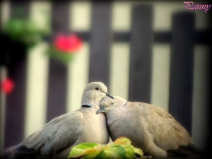 Google+ Plus Quotes And Facebook Quotes