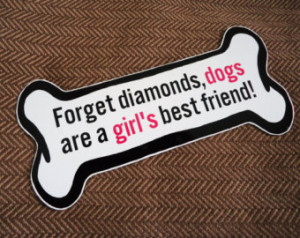 Popular items for dog bone quote