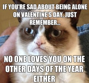 Animal Memes – Valentine’s Day Grumpy Cat