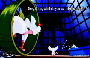Pinky And The Brain